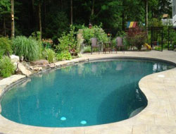 Bean Shaped Pool Manufacturer in Vadodara