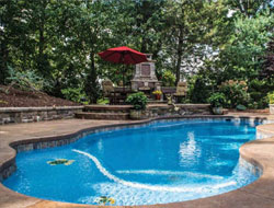 Freeform Shaped Swimming Pools Manufacturer in Vadodara