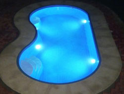 Bean Shaped Pool Manufacturer in Vadodara