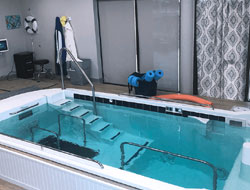 Hydrotherapy Swimming Pools Manufacturer in Vadodara