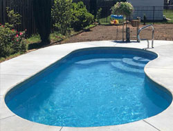 Kidney Shaped Swimming Pools Manufacturer in Vadodara