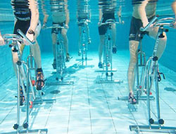 Wetfit Aqua Gym Manufacturer in Vadodara